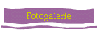 Fotogalerie