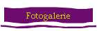 Fotogalerie